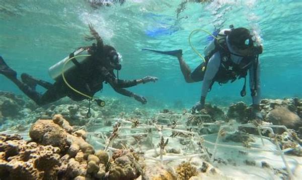 Real-time Data Collection In Oceans