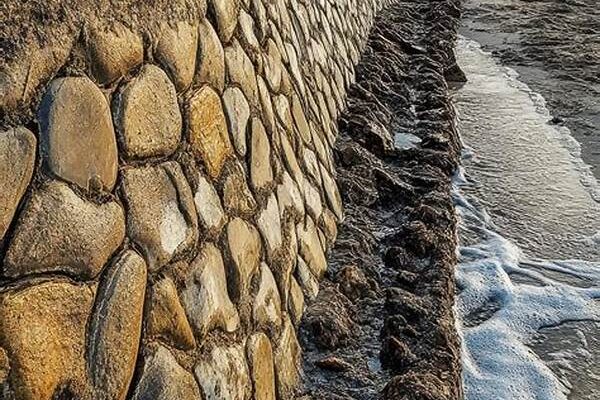 Eco-friendly Coastal Erosion Control