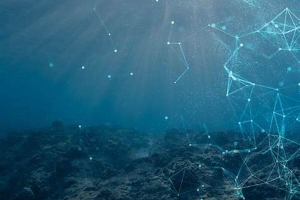 Integrated Marine Data Networks